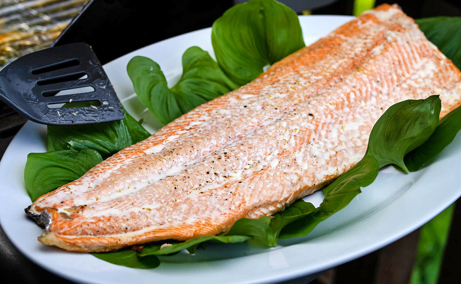 Grilled salmon 1